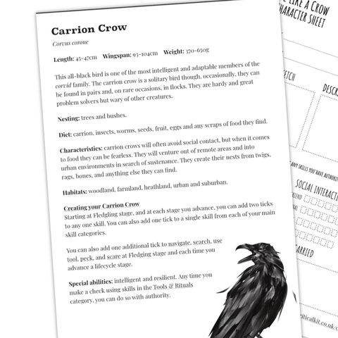 Be Like a Crow - Tabletop Bookshelf