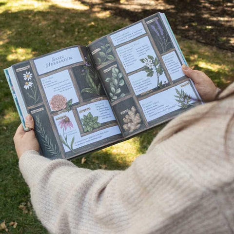 The Wheel of the Year: An Illustrated Guide to Nature’s Seasons and Celebrations