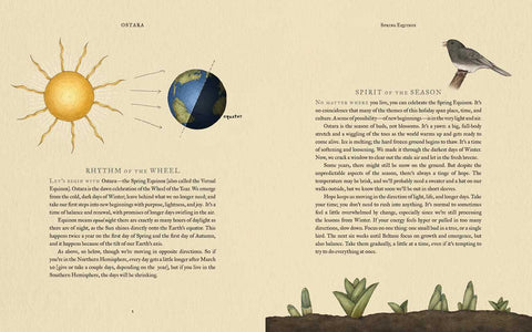 The Wheel of the Year: An Illustrated Guide to Nature’s Seasons and Celebrations