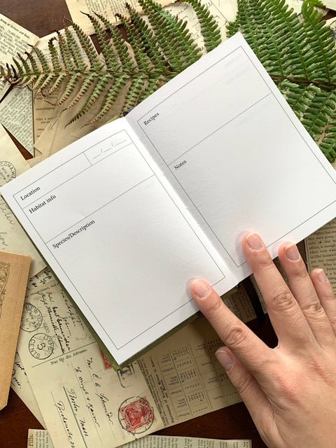 Forage: A Field Journal
