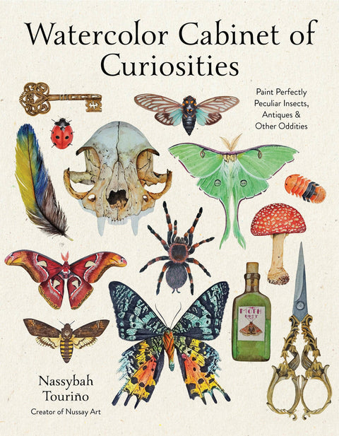 Watercolor Cabinet Of Curiosities
