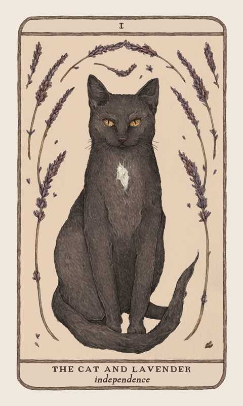 Woodland Wardens Oracle Deck & Guidebook