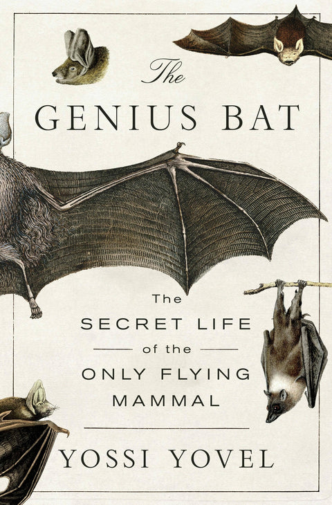 The Genius Bat The Secret Life Of The Only Flying Mammal