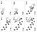 Pack of Dogs Playing Cards - Tabletop Bookshelf