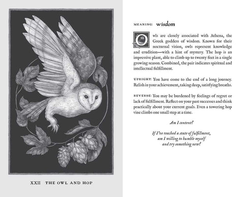 Woodland Wardens Oracle Deck & Guidebook