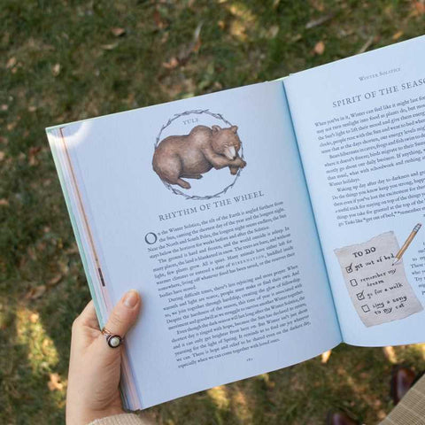 The Wheel of the Year: An Illustrated Guide to Nature’s Seasons and Celebrations