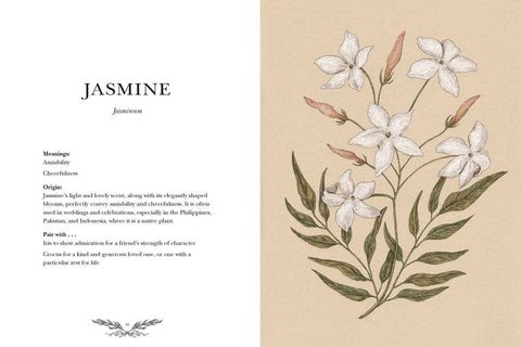 Floriography by Jessica Roux