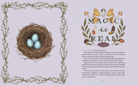 The Wheel of the Year: An Illustrated Guide to Nature’s Seasons and Celebrations