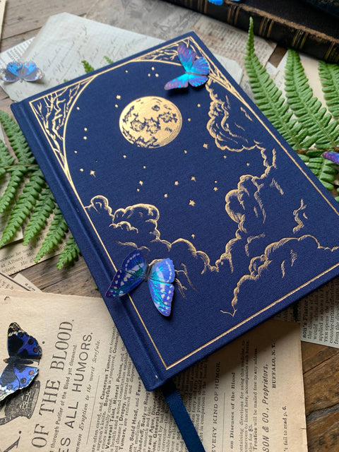 The Astronomer - Sketchbook