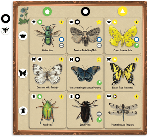 Insectarium