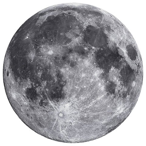 The Moon - 1000 Piece Round Puzzle