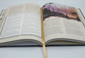 Grim Hollow Bundle - Tabletop Bookshelf