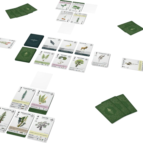 Board game cards with nature-themed illustrations on a white background
