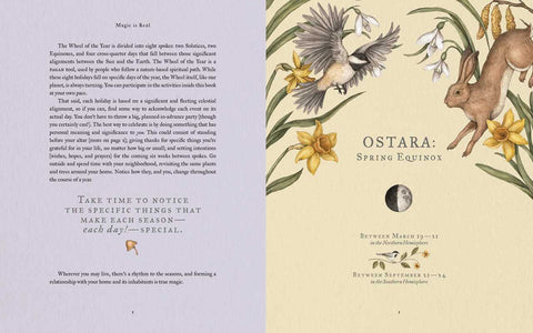 The Wheel of the Year: An Illustrated Guide to Nature’s Seasons and Celebrations