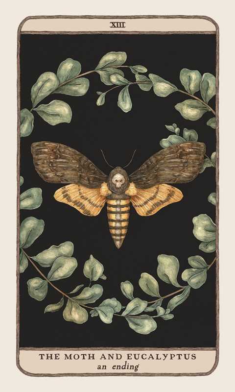 Woodland Wardens Oracle Deck & Guidebook
