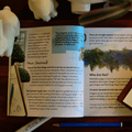 Bonds Between - Tabletop Bookshelf