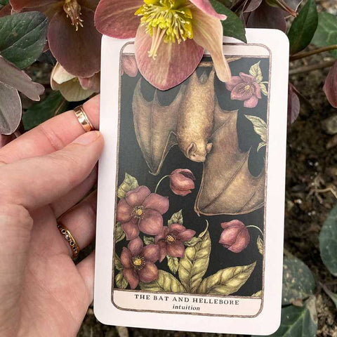 Woodland Wardens Oracle Deck & Guidebook