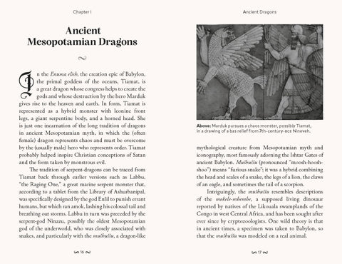 Pocket Book of Dragons