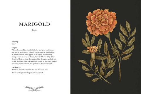 Floriography by Jessica Roux