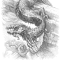 Tales From the Lone Lands - Tabletop Bookshelf