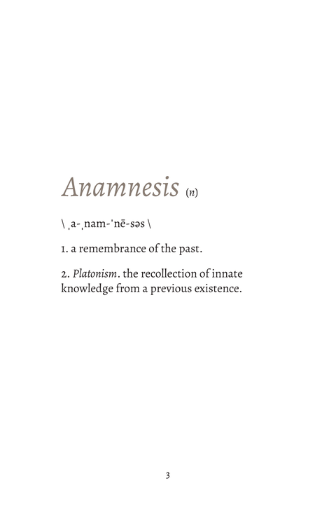Anamnesis - Tabletop Bookshelf