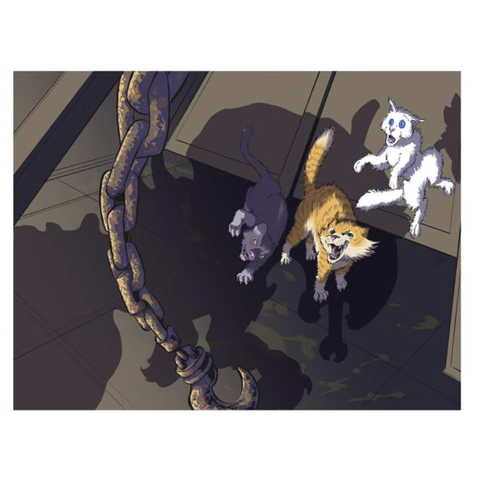 OMG Cats!