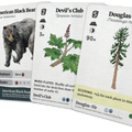 Three card game cards featuring different plants and animals on a white background