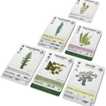 Set of cards featuring plants with illustrations and text on a white background