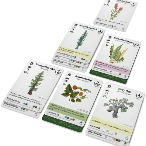 Set of cards featuring plants with illustrations and text on a white background