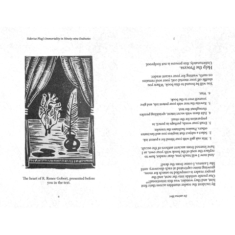SPINE: Siderius Plug's Immortality in Ninety-nine Endnotes